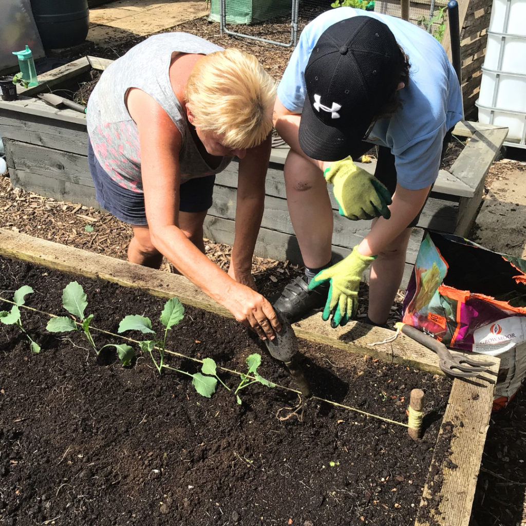 Pupil and teacher doing some gardening in the allotment