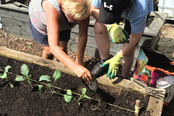 Pupil and teacher doing some gardening in the allotment